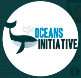 Oceans Initiative image